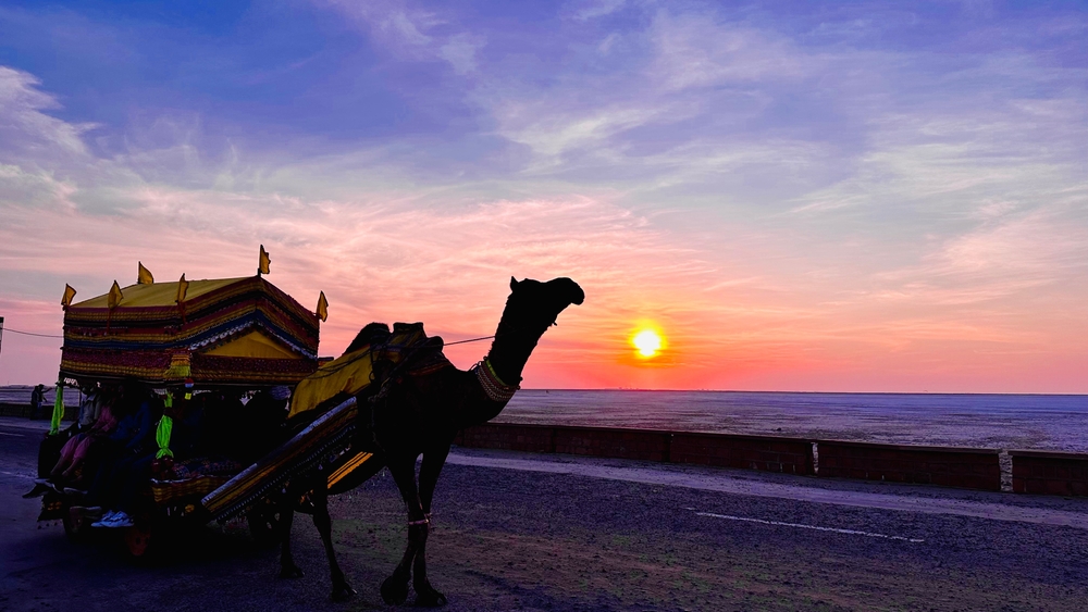 Experience The White Desert Like Royalty
